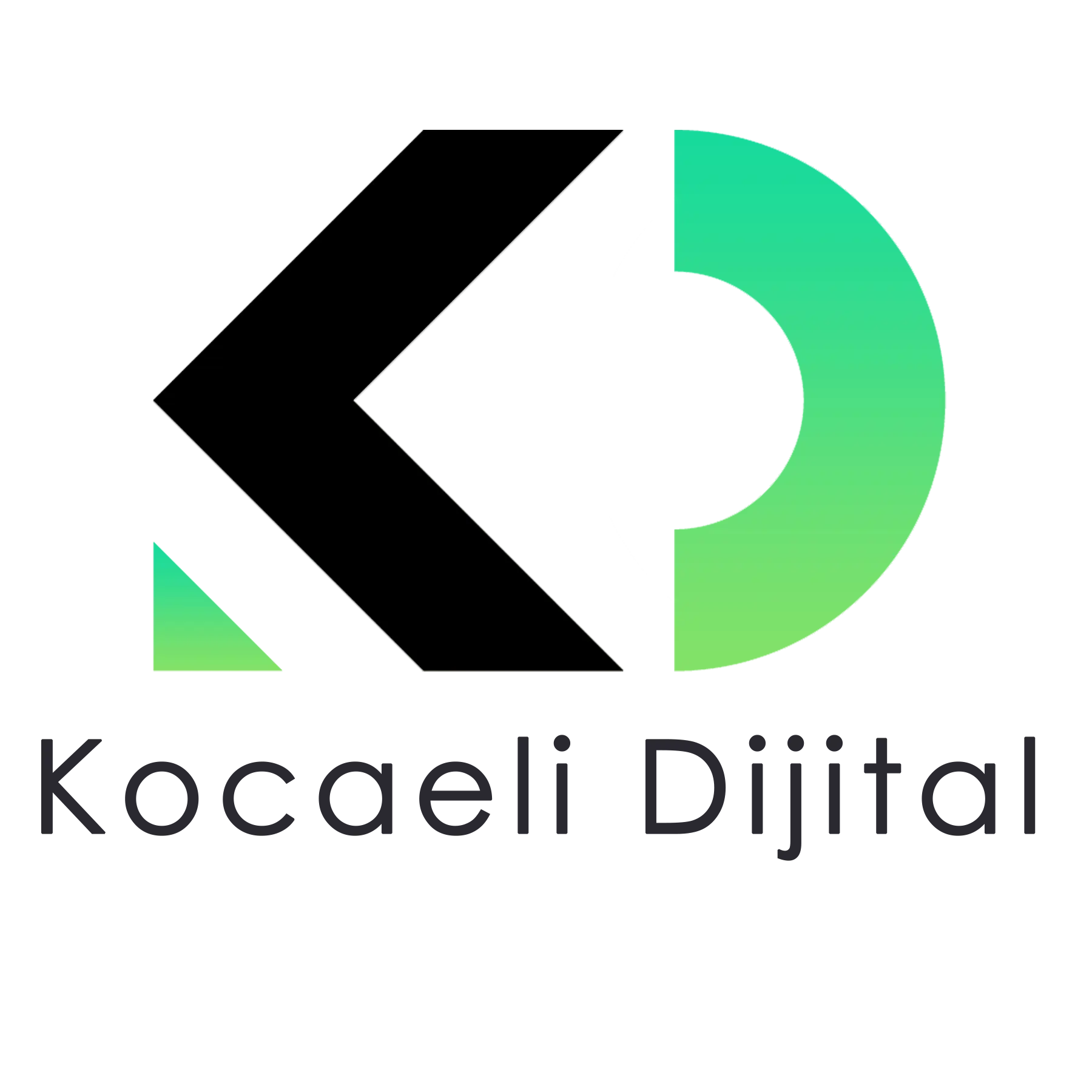 Kocaeli Dijital