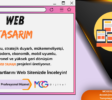 Web Tasarim Mcgdijital